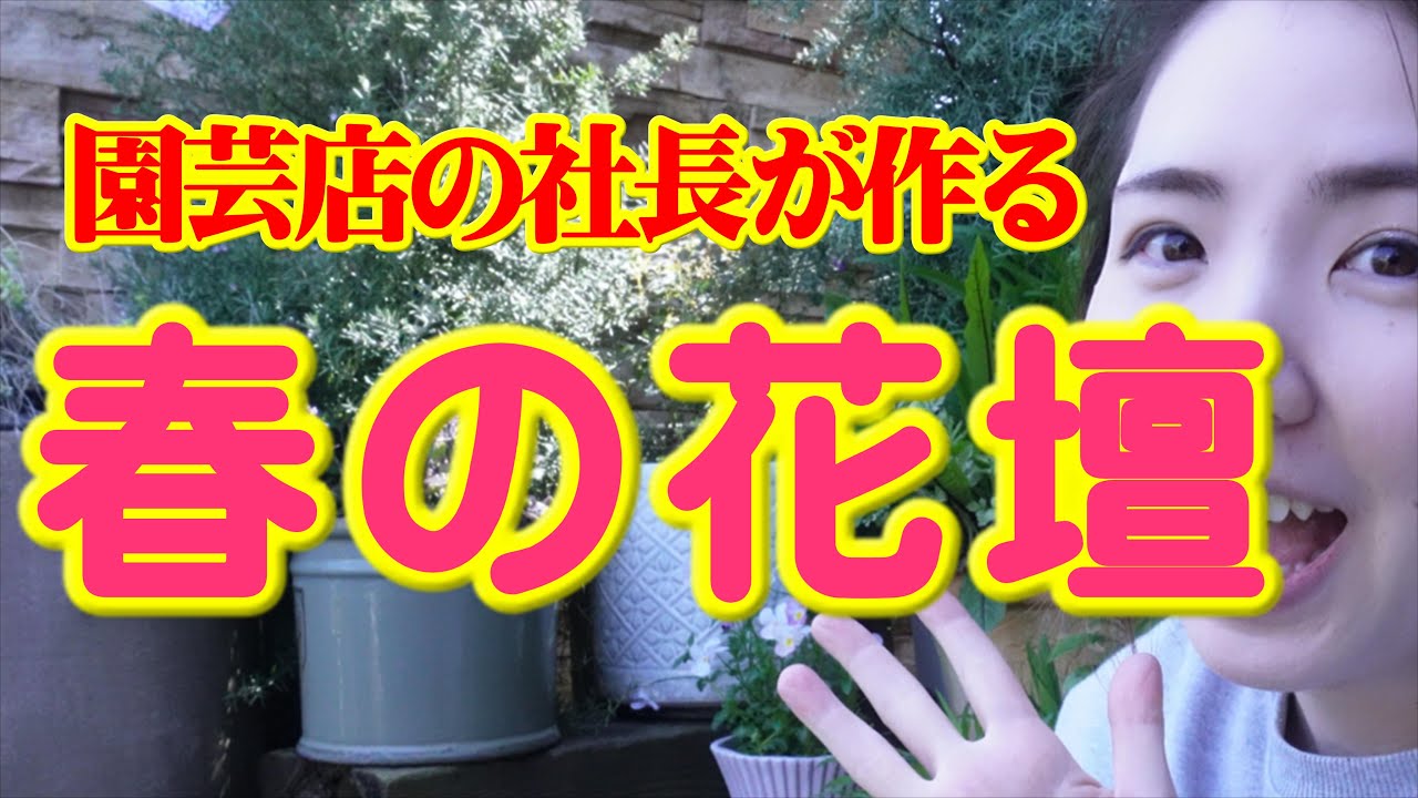 【花壇植え替えのコツ】植え替え後の管理方法を紹介|開花園チャンネル
