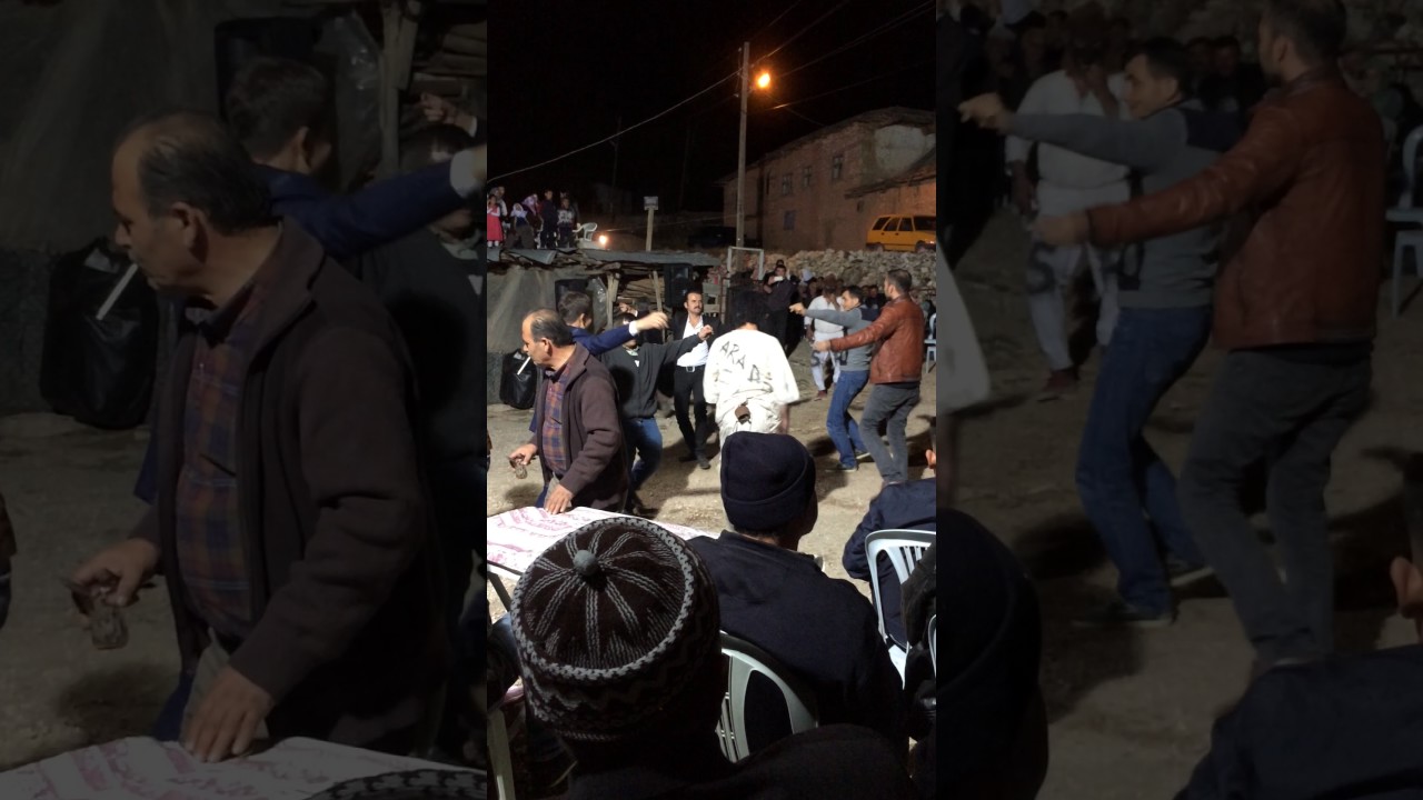 Taşkesiği nin çılgın arapları
