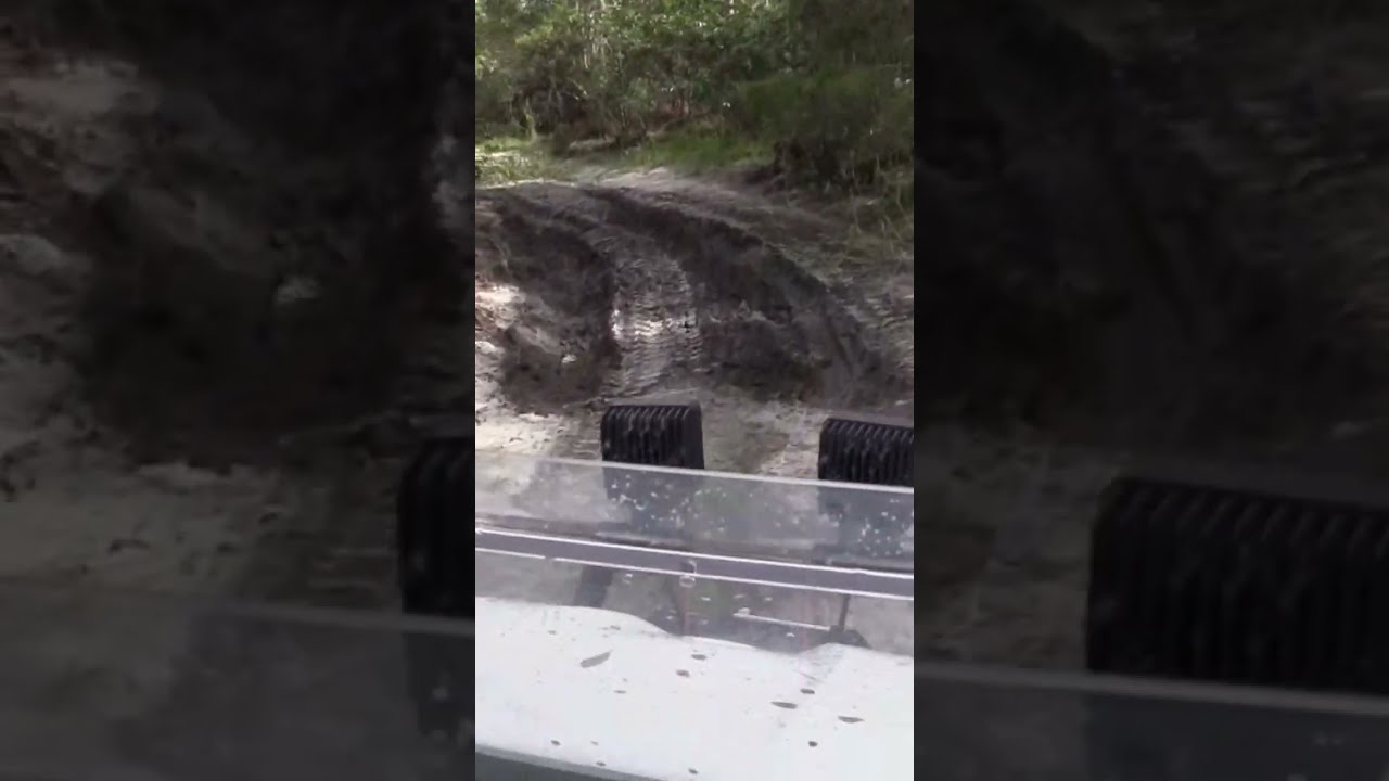 swamp riding #causewecan #mudding #countrytraditions #floridalife