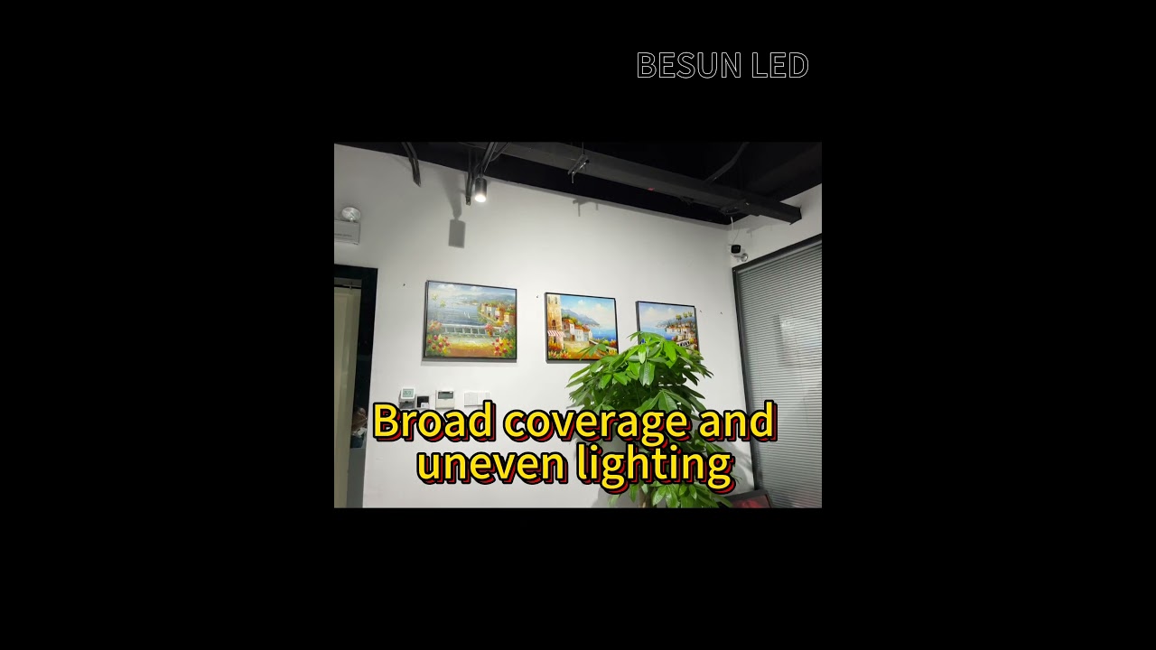 Track Lights vs. Framing Projector: Which One Is Better for Art Illumination?