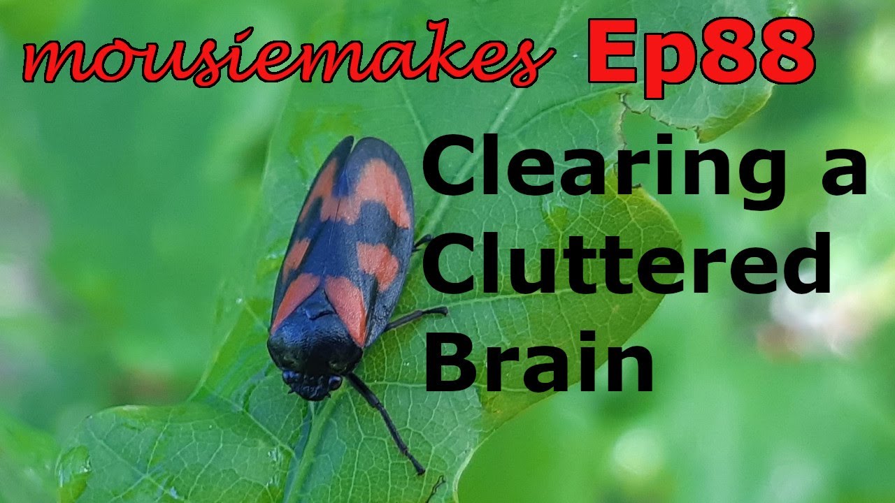 Episode 88: Clearing a Cluttered Brain | Clearing clutter | Nature's beauty | Flowers | Insects