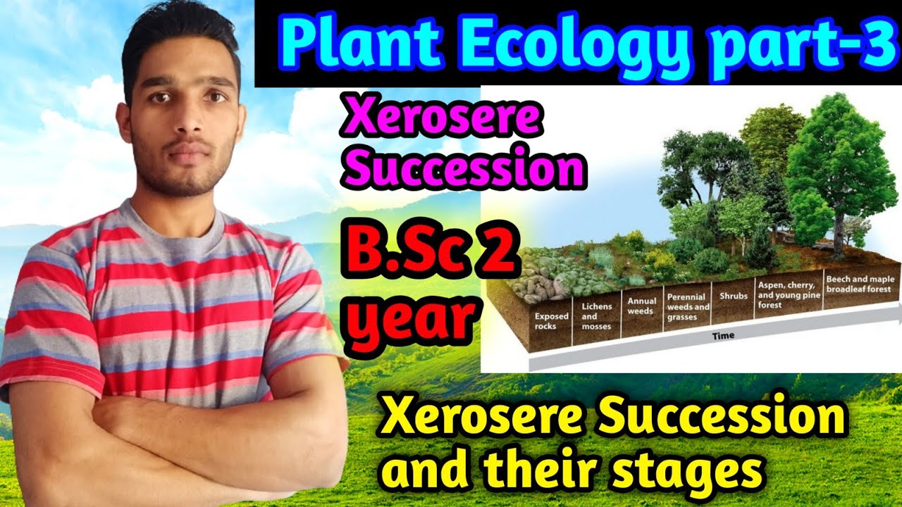 Xerosere Succession|| Plant Succession || Ecology B.Sc 2 year