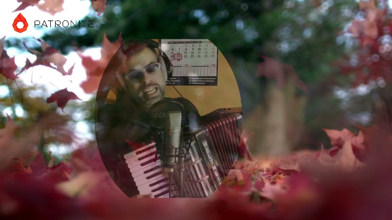 ZŁOTE LIŚCIE | DOMINO | COVER | AKORDEON | BOSSMusicLomza