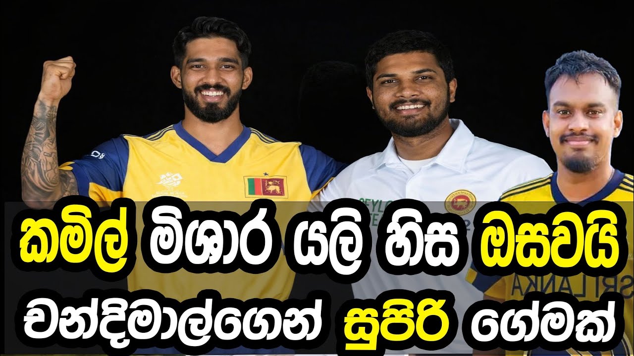 කමිල් මිෂාර යලි හිස ඔසවයි 