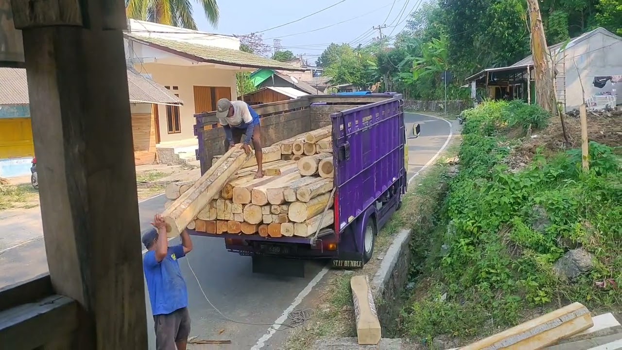 MUAT KAYU ALBASIA 3 METERAN