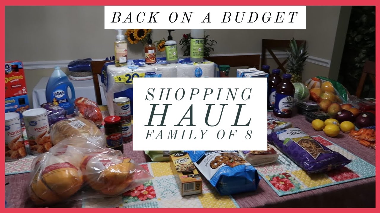 Large Family Weekly Shopping Haul💲💲 Back On A Budget💲💲
