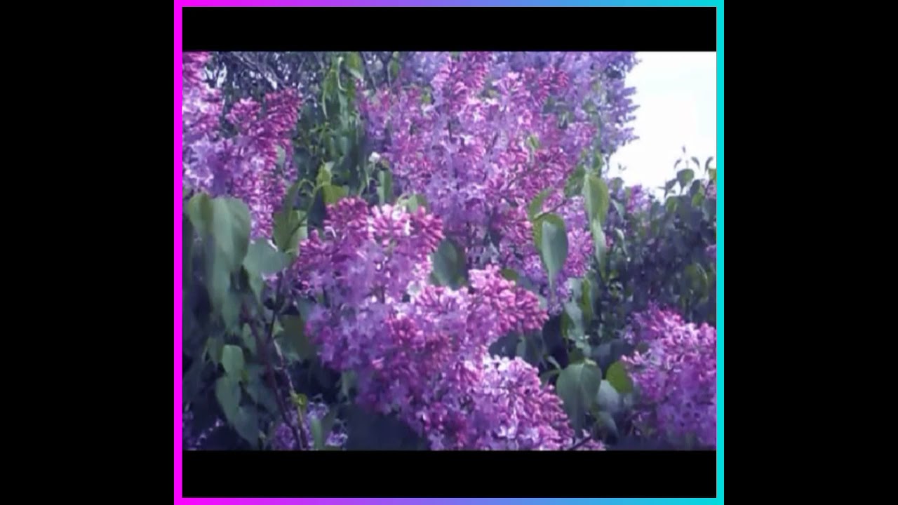 Свитерок🌼🌼💞💞💞🌼