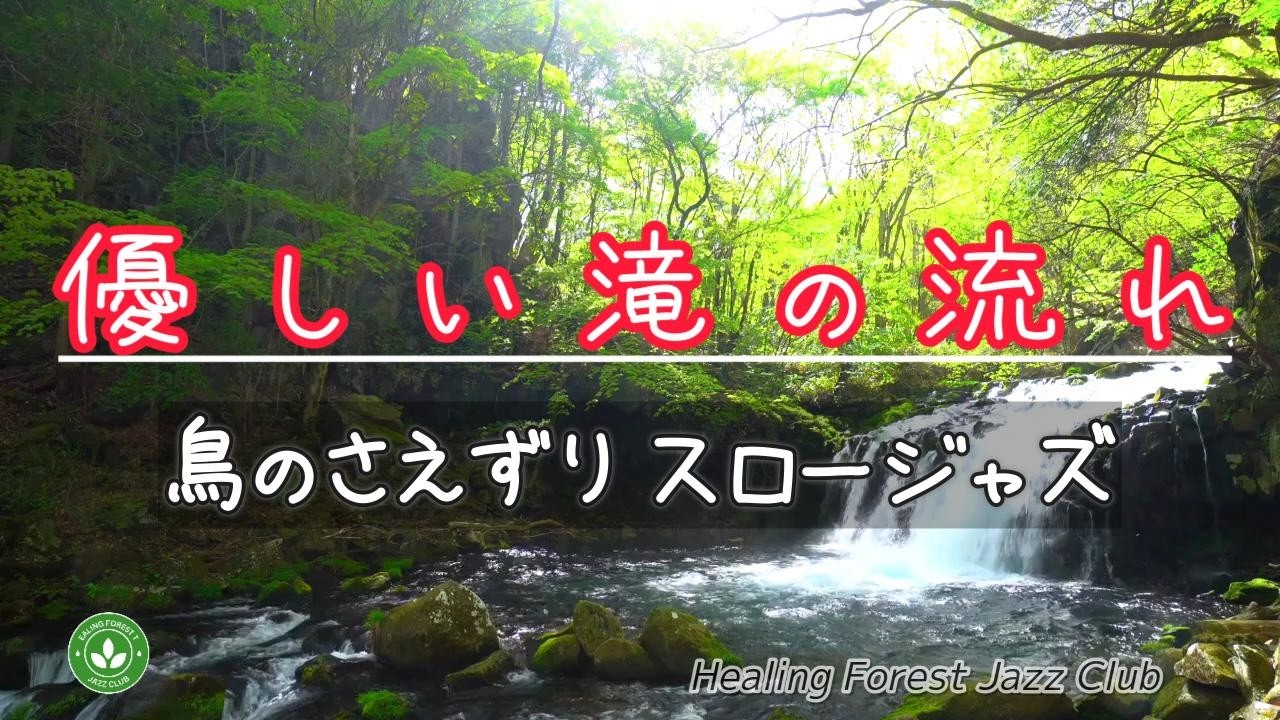 【癒しBGM】癒しの森でリラックス ＃562 / 優しい滝の流れ / 鳥のさえずり / スロージャズ / 心身浄化