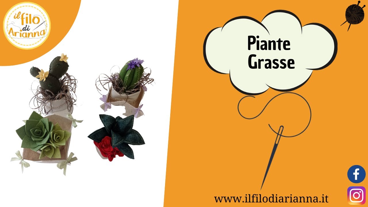 PIANTE GRASSE