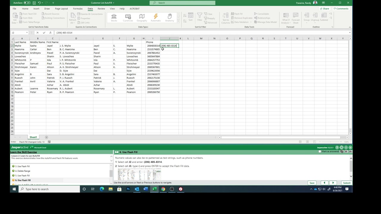 Excel Lesson 2h Using Autofill & Flash Fill