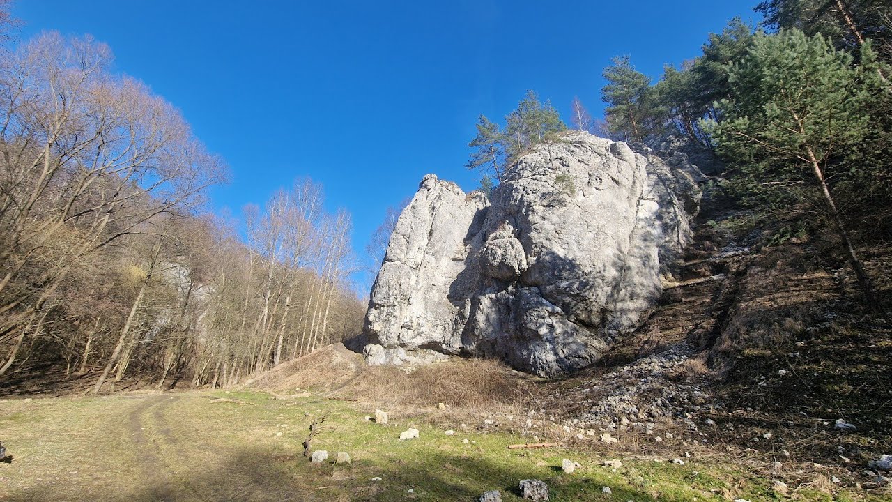 Będkowice → ‪Bolechowice‬, Dolinki Krakowskie
