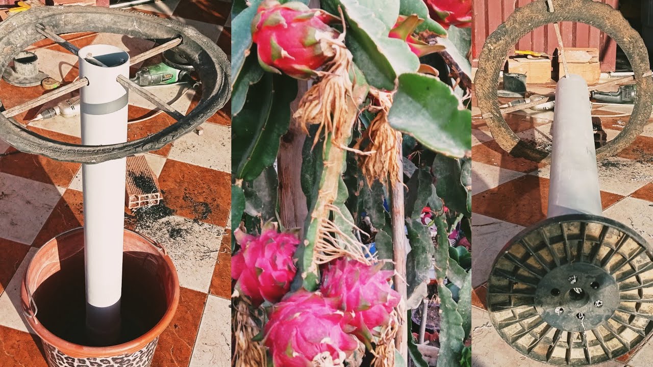 طريقة عمل دعامة مميزة لي فاكهة تنين دراجون فروت صناعة دعامة dragon fruit