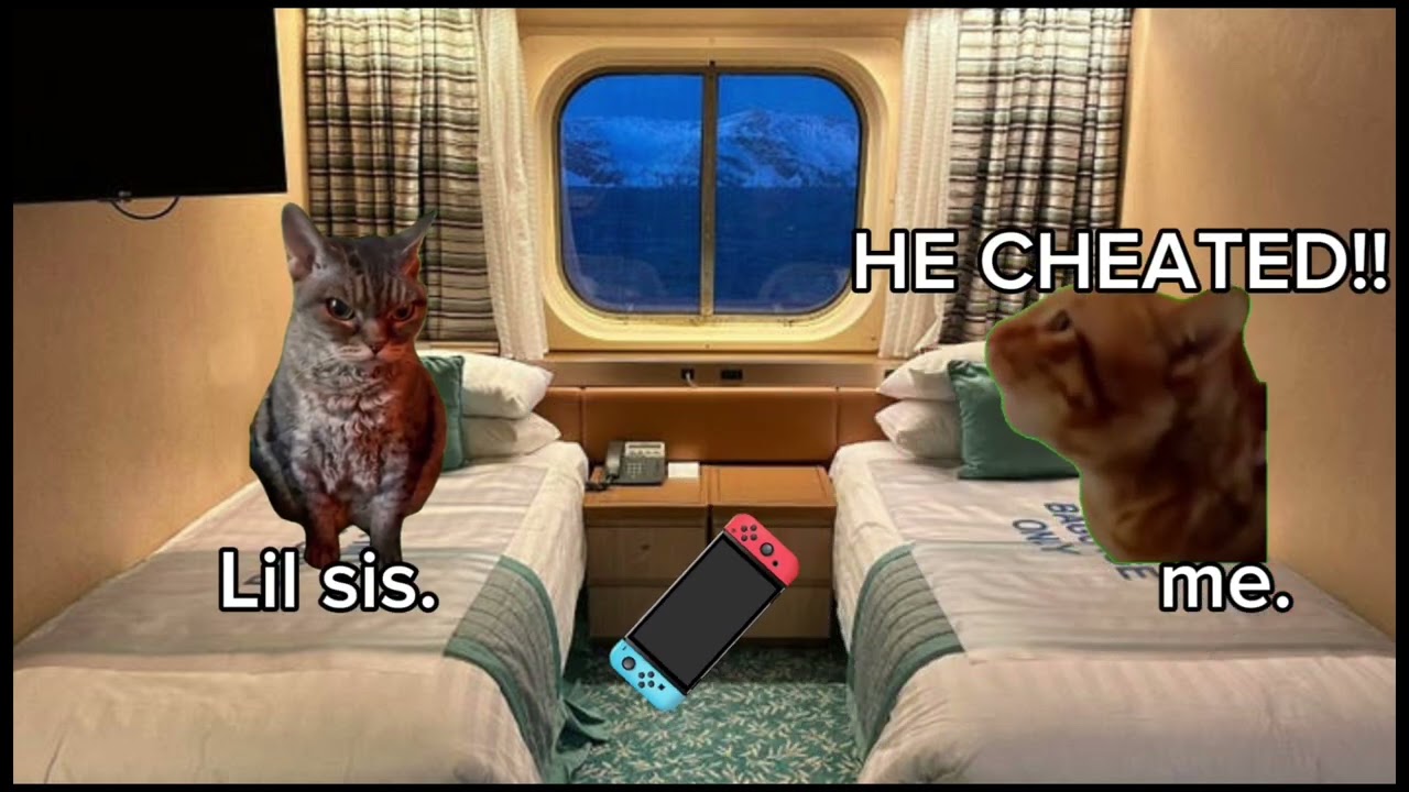 Cruise ship 