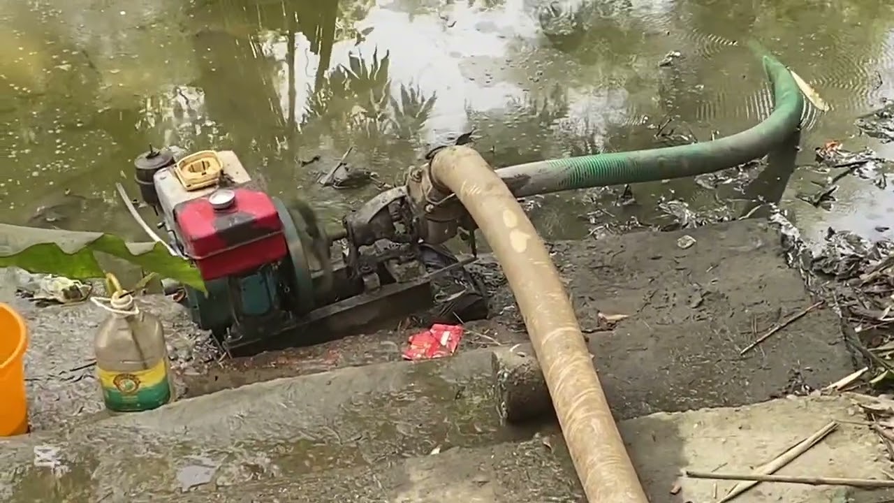 সেলো মেসিন দিয়ে পুকুর হিচে মাছে ধরলাম
