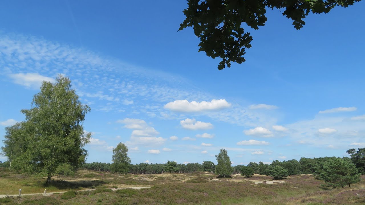 Heidestein en landgoed Bornia-12-8-2021