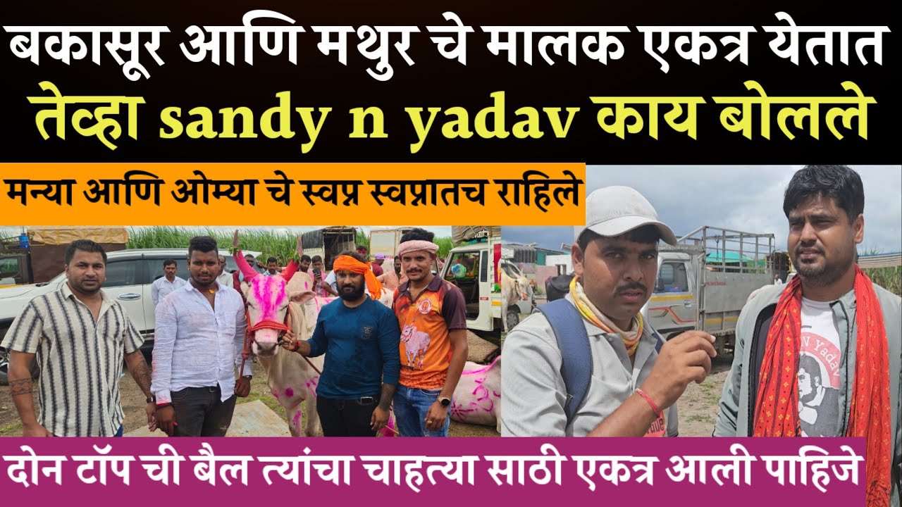 बकासुर आणि मथुर बैलाचे मालक एकत्र आल्यावर sandy n yadav काय बोलले ? 