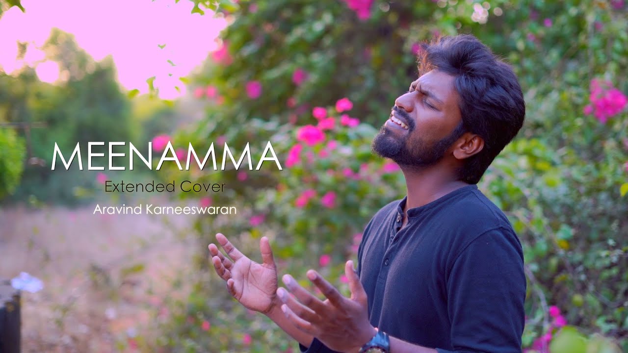 Meenamma Extended cover | Aasai | Aravind Karneeswaran | Deva