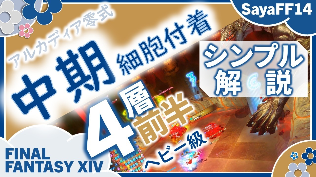 【予習・復習用】　細胞付着：中期　簡易解説　早見表　反復練習　|　アルカディア零式ヘビー級４層（前半）　ゲーム８