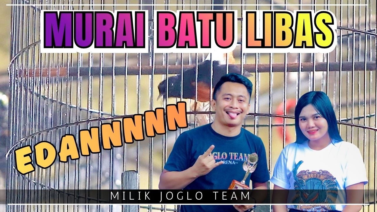 Murai Batu LIBAS Tampil Edan! Bukti Nyata Kualitas Amunisi Joglo Team 🏆🔥