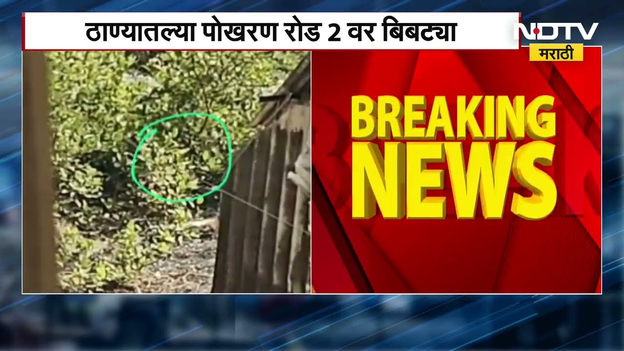 Leopard Spotted in Thane | ठाण्यात बेथनी रुग्णालयाच्या मागे बिबट्या? व्हिडिओ झाला व्हायरल |