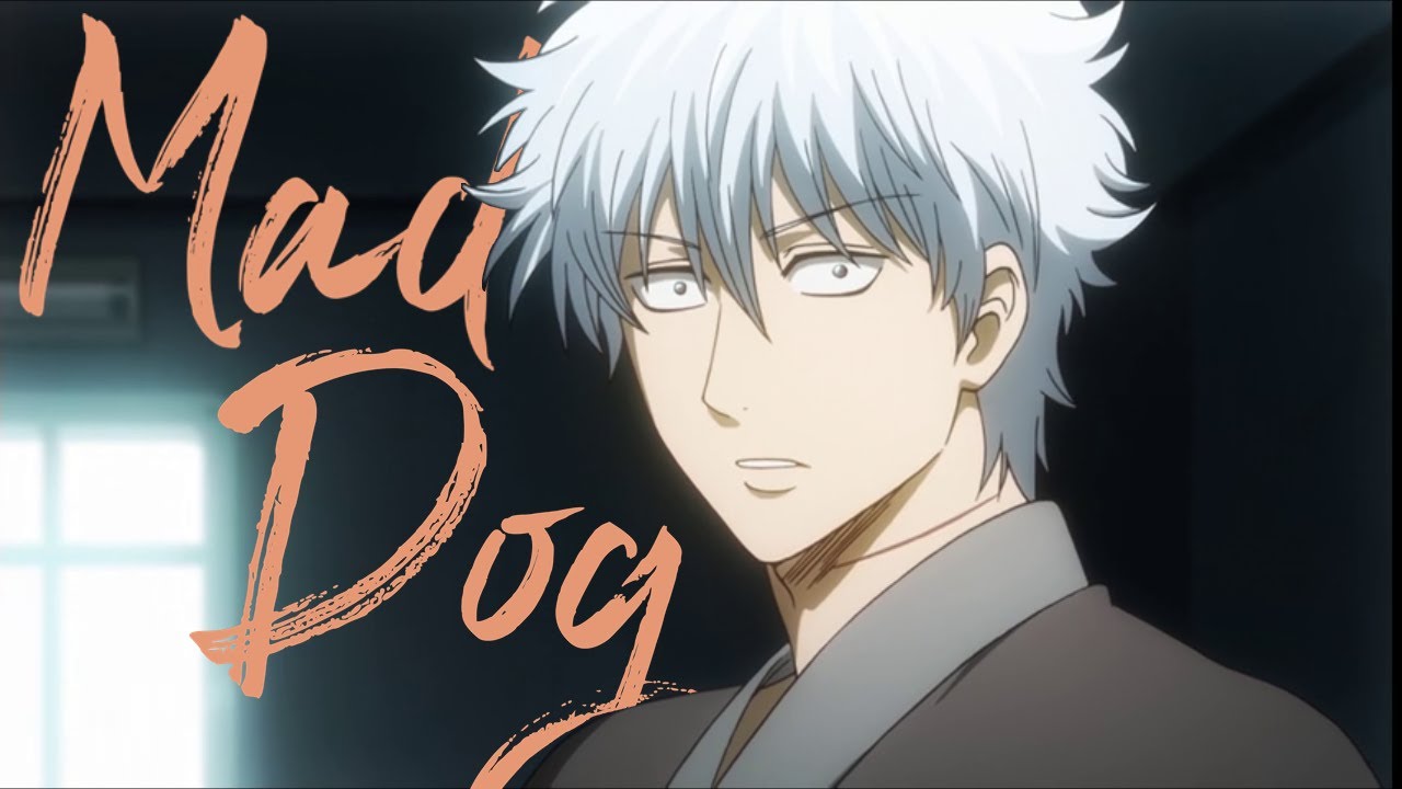 Gintama AMV - Mad Dog