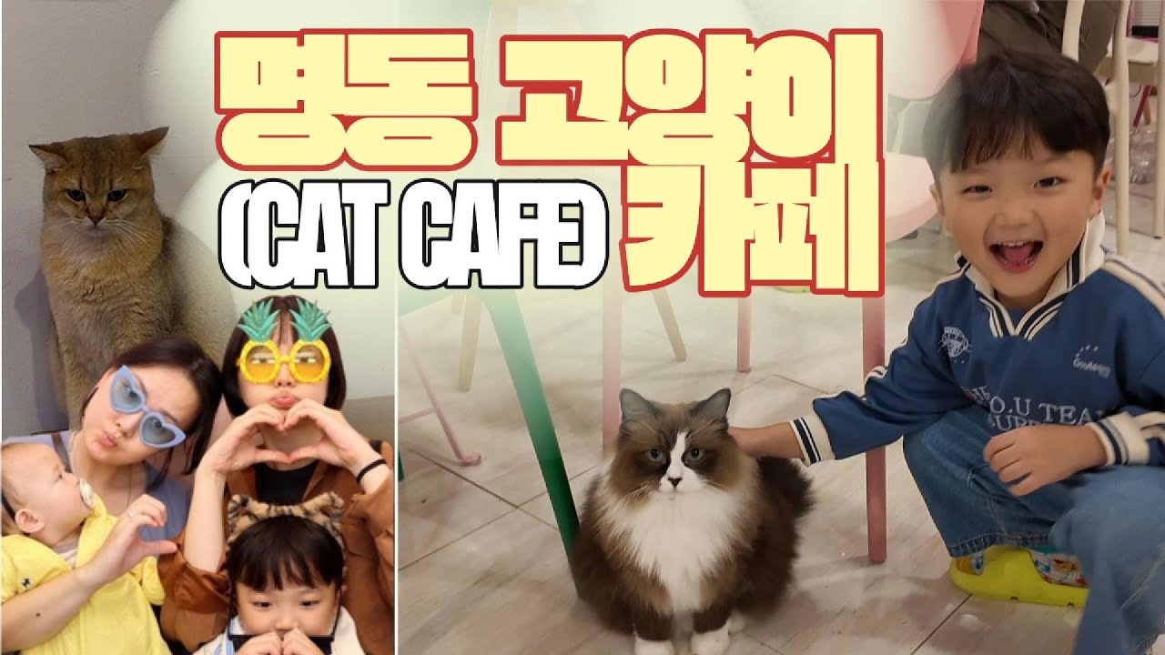 일상로그 | 이모와 함께 명동 고양이 카페_ 3살 이후로 다시 찾아간 그 곳ㅣ은지콩 eunjikongㅣ