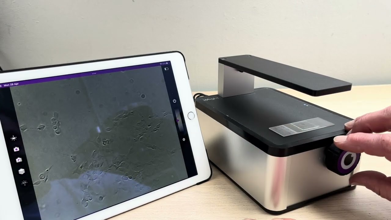 HEK-293 human cells can be viewed with the ioLight Cell Imager