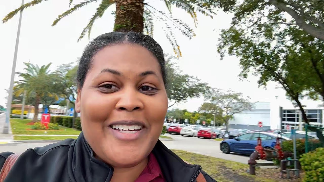 My Tesla's Biggest Problem Finally Fixed | Day 21 365 Vlog Challenge