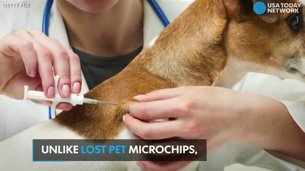 Technology company offers microchip implants