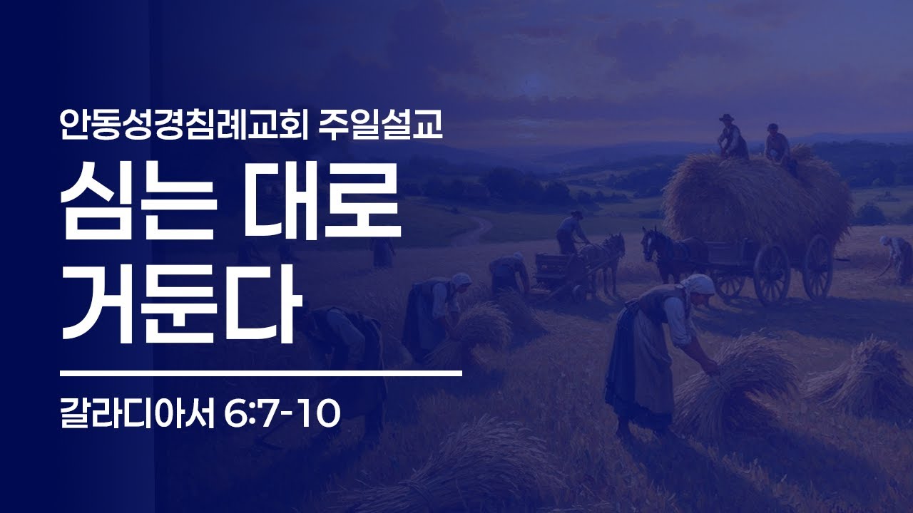 심는 대로 거둔다 (갈 6:7-10, 한글킹제임스성경 / 안동성경침례교회 오후예배)