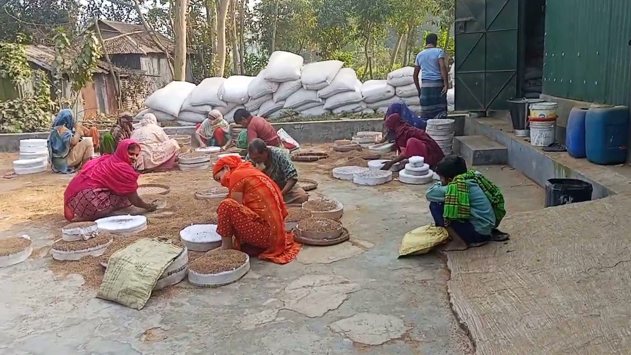 কালিহাতীতে মিষ্টি বিড়িতে জাল ব্যান্ডরোল ব্যবহারের অভিযোগ সরকার বন্চিত হচ্ছে বিপুল পরিমান রাজস্ব 