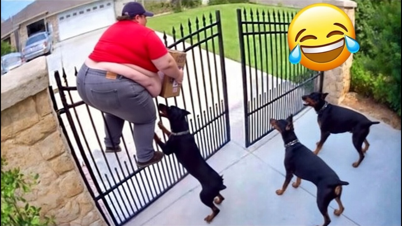 Only 1% Can Watch Without Laughing 😂 | Try Not to Laugh Challenge 2025 Part 2