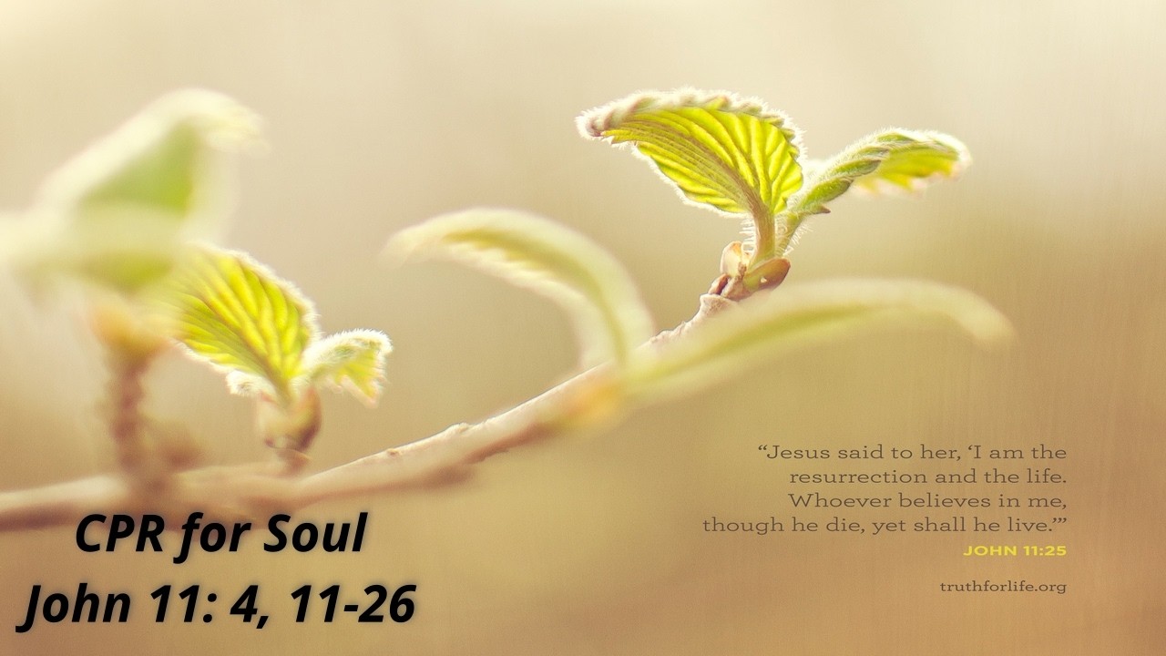 CPR for the Soul, sermon by Rev. Sharon Lion-Cachet (Bethany Benoni Fellowship)