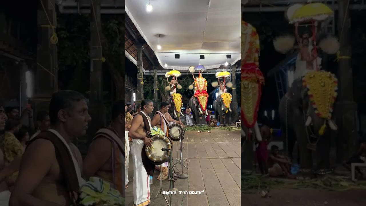 അമ്പലപ്പുഴെ ഉണ്ണിക്കണ്ണനോട് നീ ✨ Nadaswaram Vaikom Shaji & Party - Ambalapuzha Sreekrishna Temple