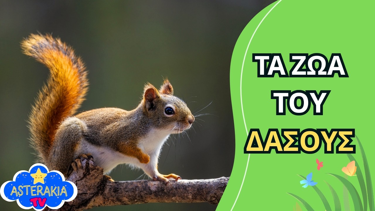 Μια μέρα στο δάσος❗ Μαθαίνω τα ζώα και τους ήχους τους🦉Εξερευνώ τον φυσικό κόσμο🌿