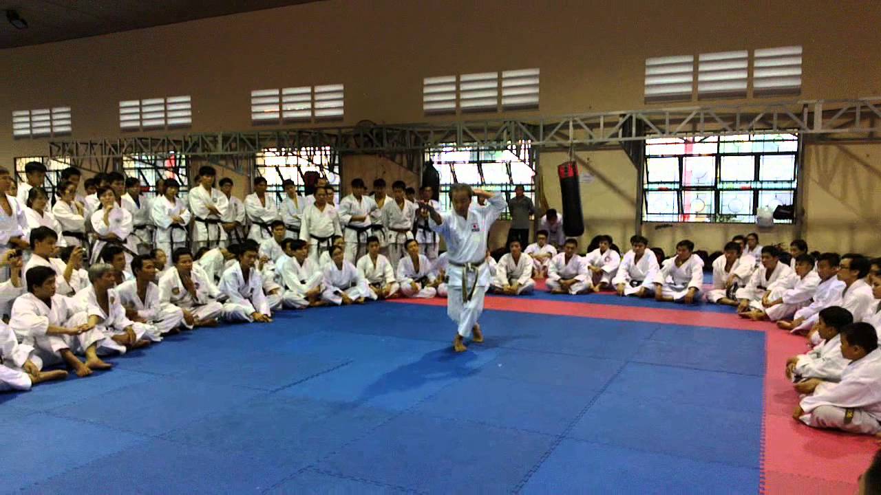 Chatanyara Kusanku - Hayashiha Seminar 2013