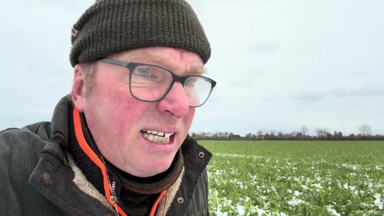Dörwe we Salt straue