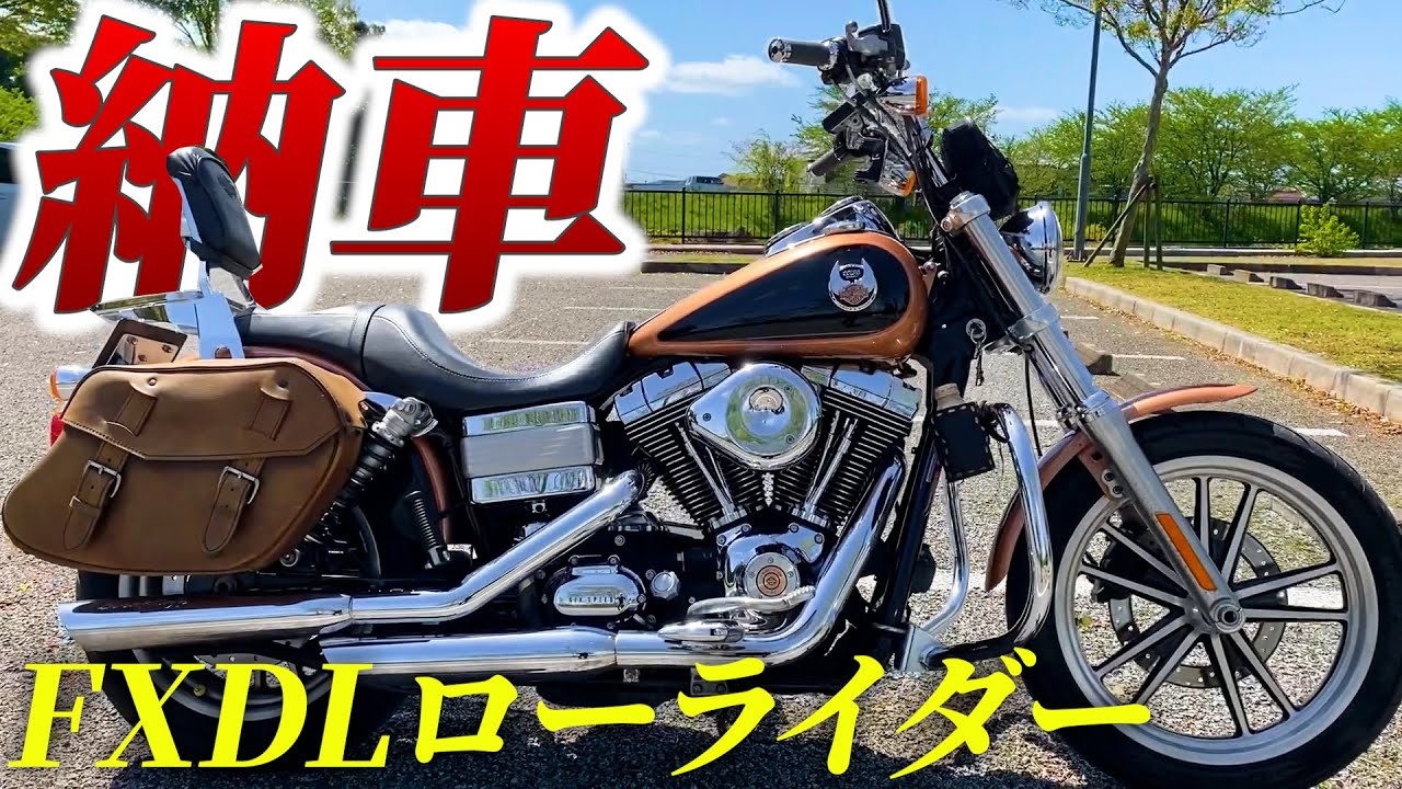 【ハーレー】FXDLローライダーを友達が納車したが排気音が異次元すぎた【ハーレーダビッドソン】【105周年】