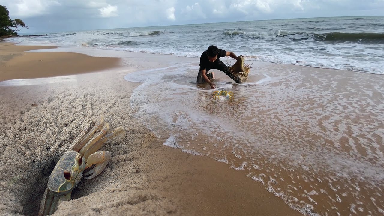 Survival on Island Alone - How to Catch, Clean and Cook Sand Crabs - Sea Crabs Digging in Hole Sand