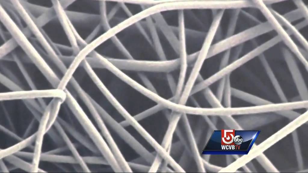 Lab-grown human organs available for transplants