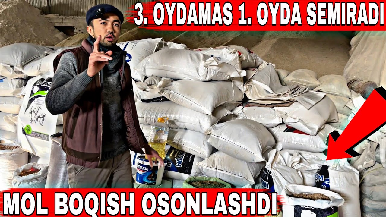 MOL BOQISHNI ARZON USULI 12. XIL MAXSULOTDAN TAYYORLANGAN YEM #2024 #molboqishsirlari #qo'yboqish