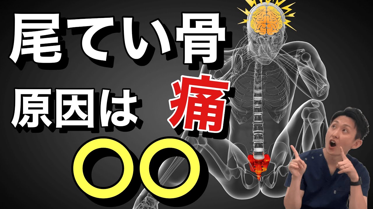 意外すぎる! 尾てい骨付近の痛みの原因は〇〇 | 大阪府 高槻市 ユーカリ整体院