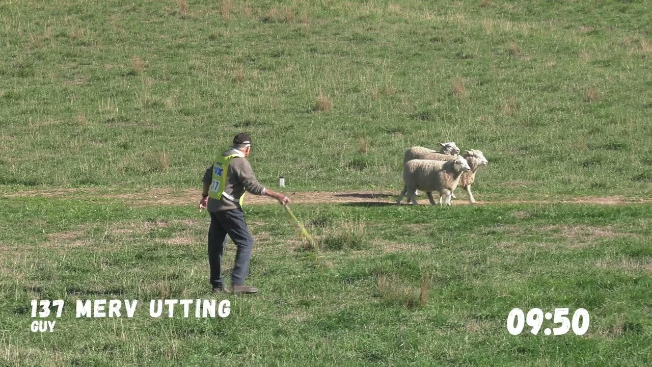 Short Head and Yard |  Merv Utting & Guy