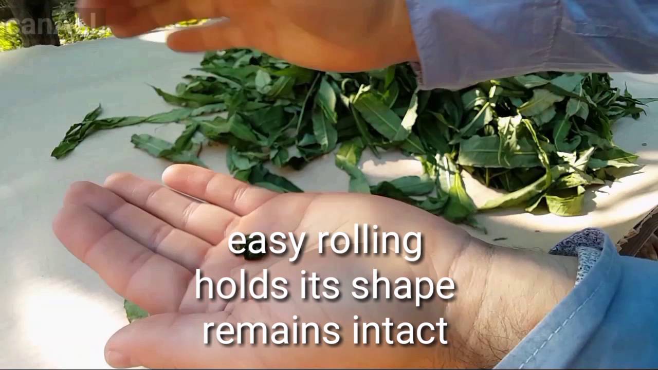 Full process of making Ivan tea