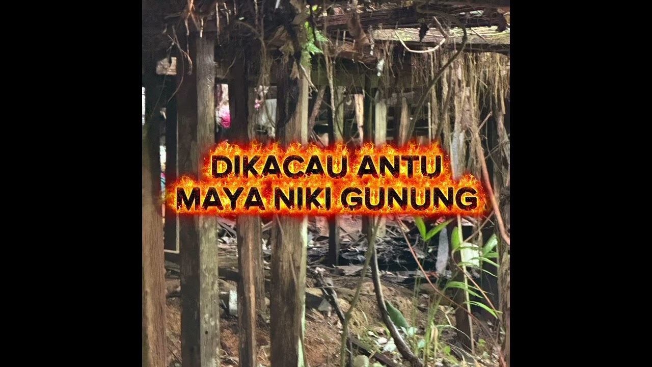 DIKACAU ANTU MAYA NIKI GUNUNG, CERITA HANTU SERAM , JERITA ANTU IBAN 