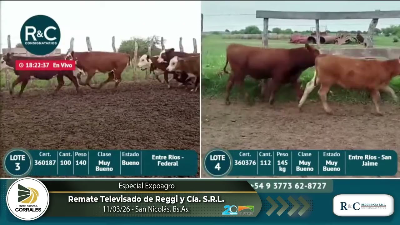 11-03-26 - Remate Televisado de Reggi y Cía. S.R.L. - San Nicolás, Bs.As.