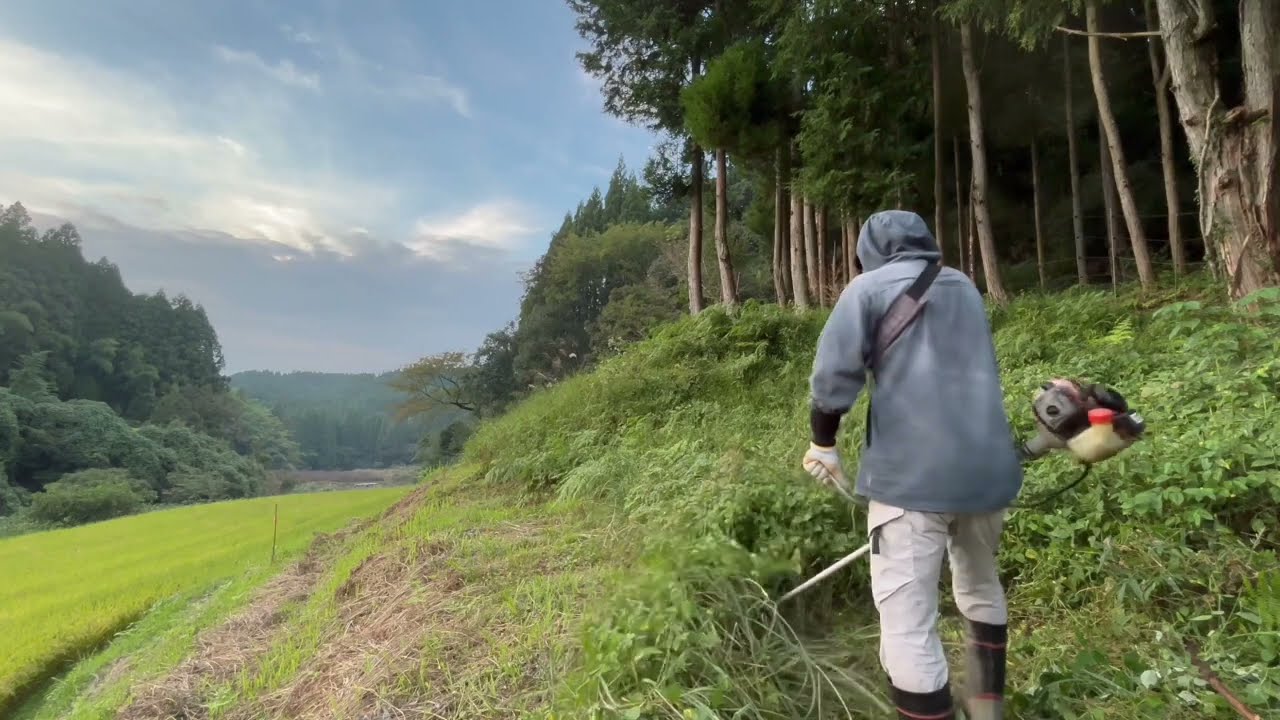 7年目に突入〜荒廃した山の再生2026/01/05−01