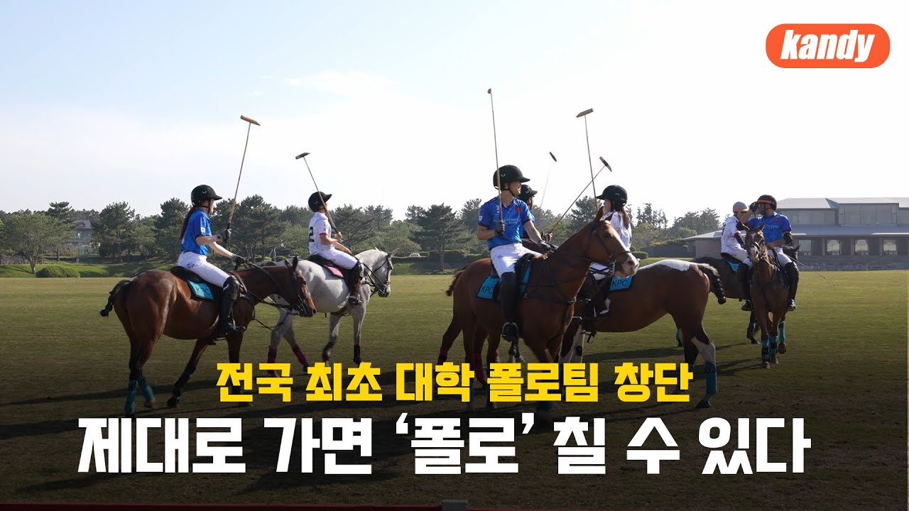 제주대 전국 최초 대학 폴로팀 창단ㅣ캔디🍬