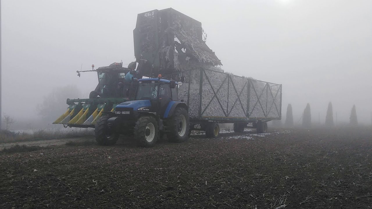Μαζεύουμε Βαμβακια Μέσα Στην Ομίχλη Με John Deere 9965 17.10.2019 Καστανιές Έβρου
