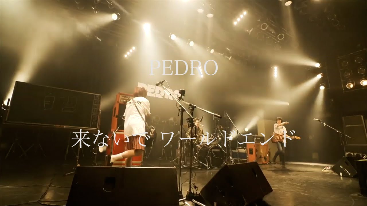 【MAD】PEDRO